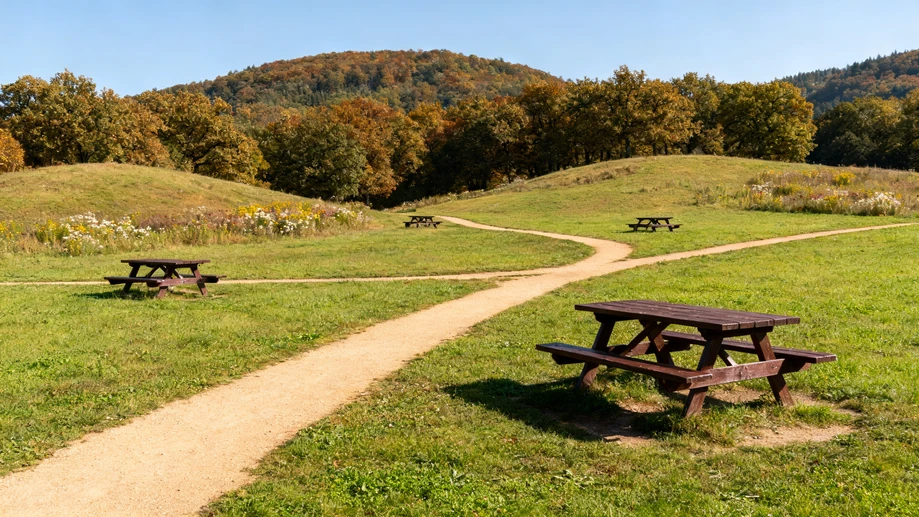 Did you know a single public park spans four separate European countries with zero border checkpoints