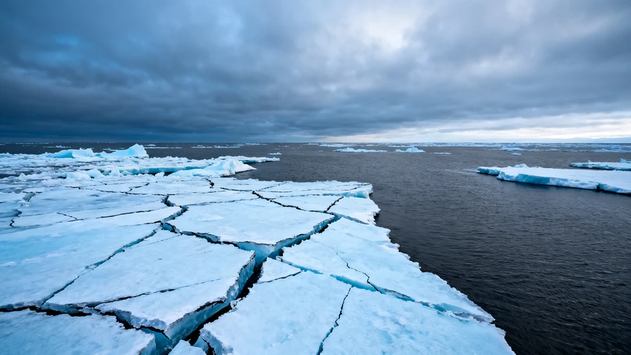 Oh My! Polar Ice Is Vanishing Before Our Eyes