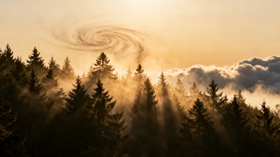 Have You Ever Seen a Tree Talk to the Clouds?