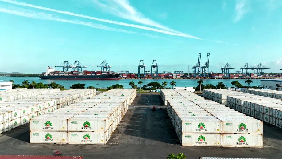 Did you know the global banana supply chain hides a tiny shared secret connecting 12 different countries