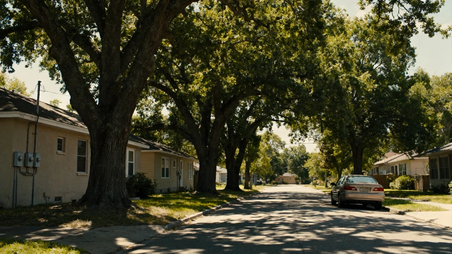 Did Common Sidewalk Trees Really Slash Millions of Local Household Air Conditioning Bills Last Summer?